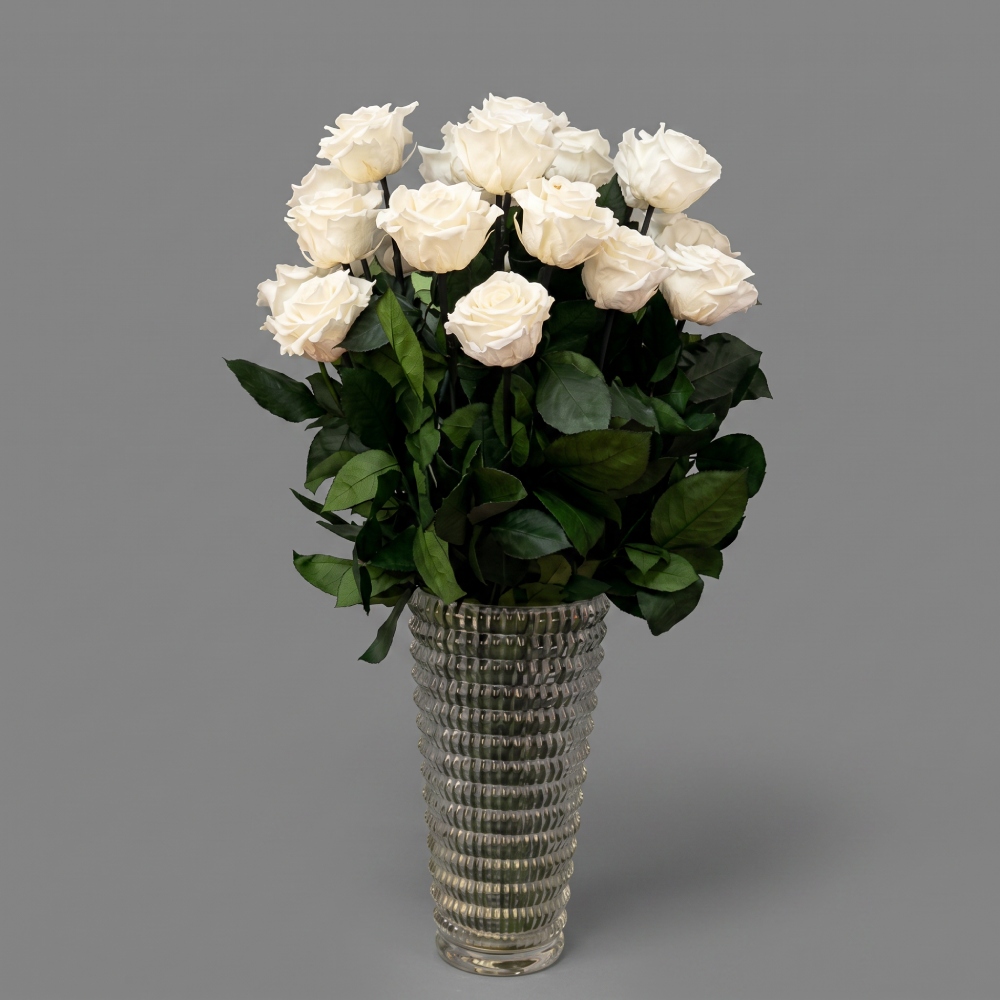 tamaraleman_0224