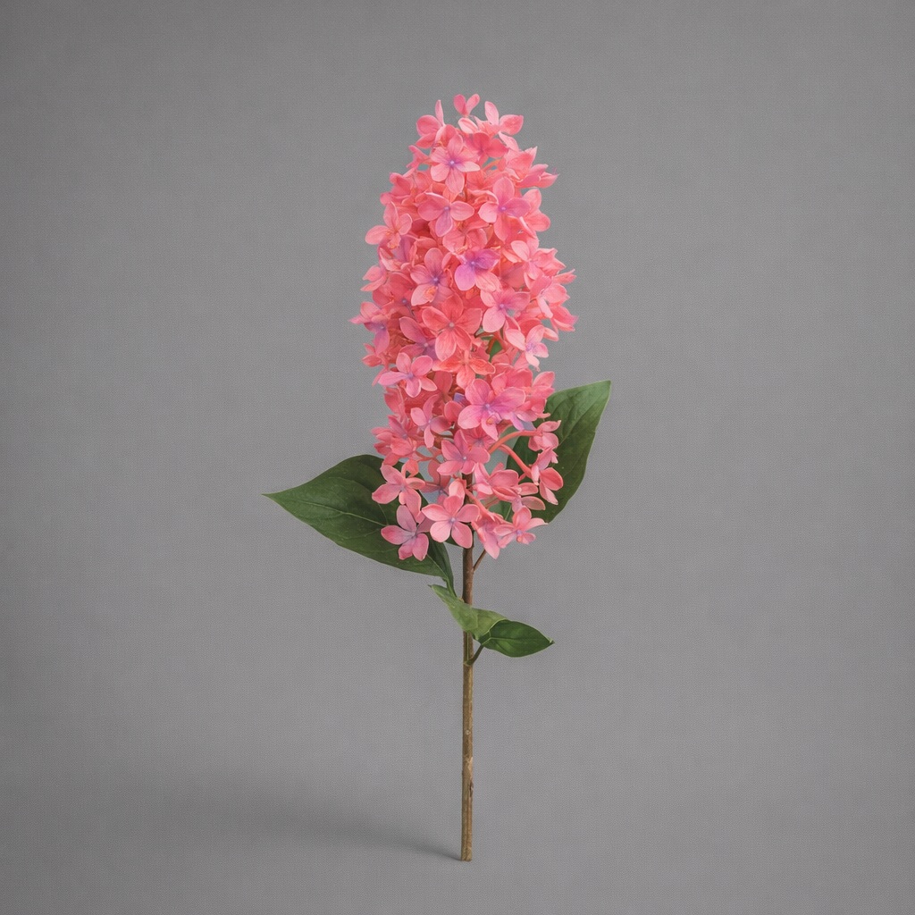 tamaraleman_0234