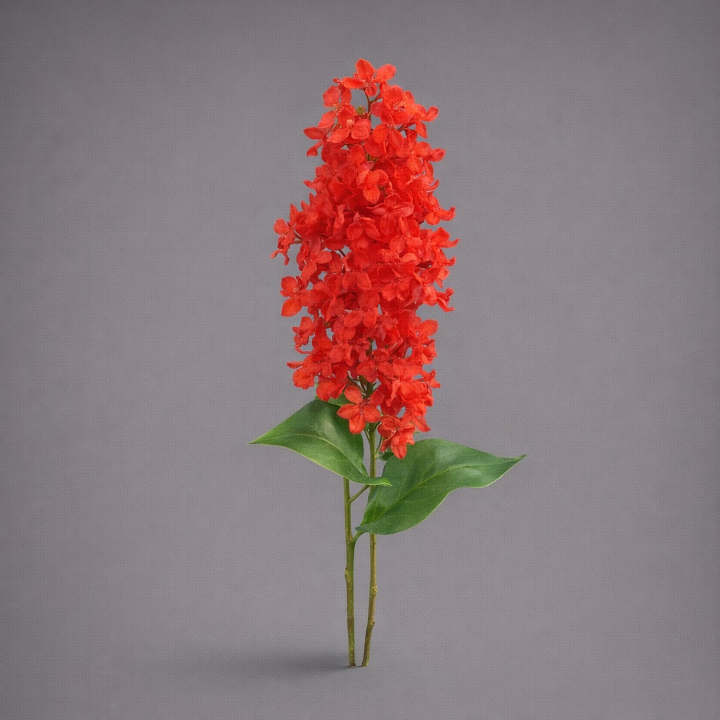 tamaraleman_0245