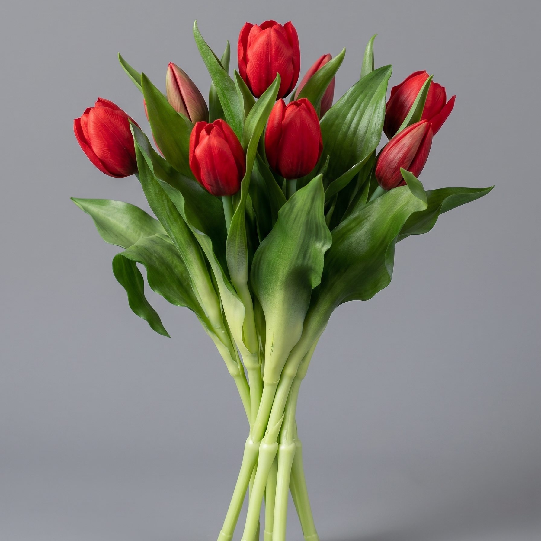 tamaraleman_0249