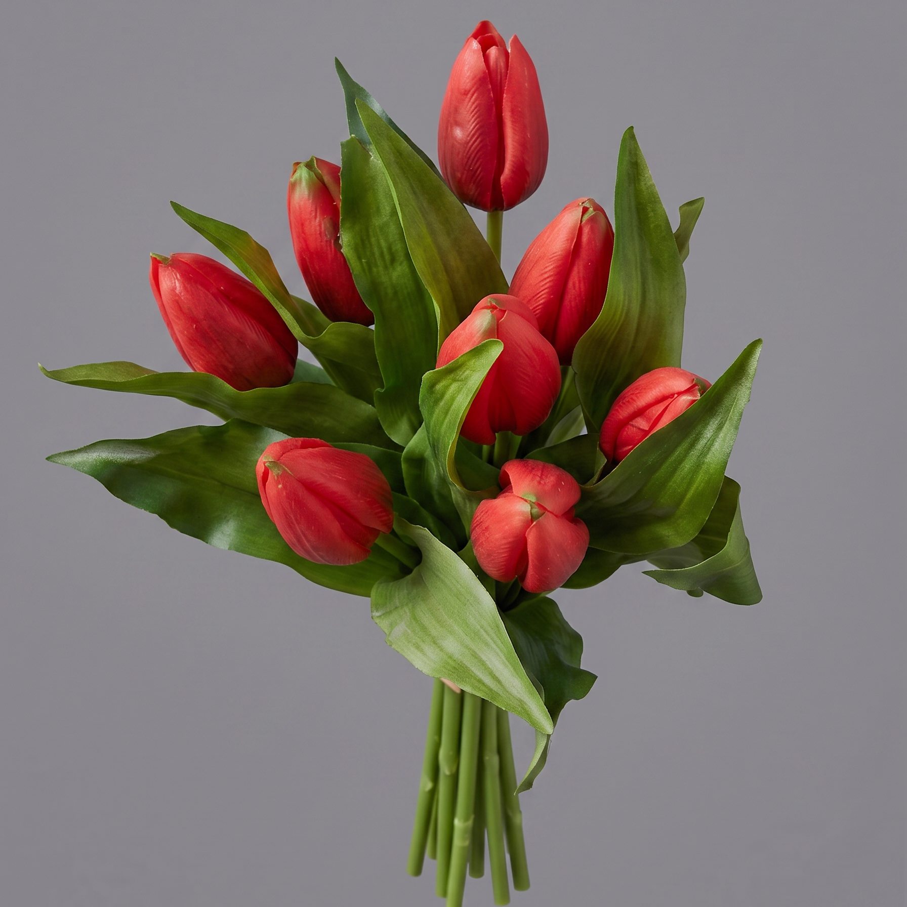 tamaraleman_0250