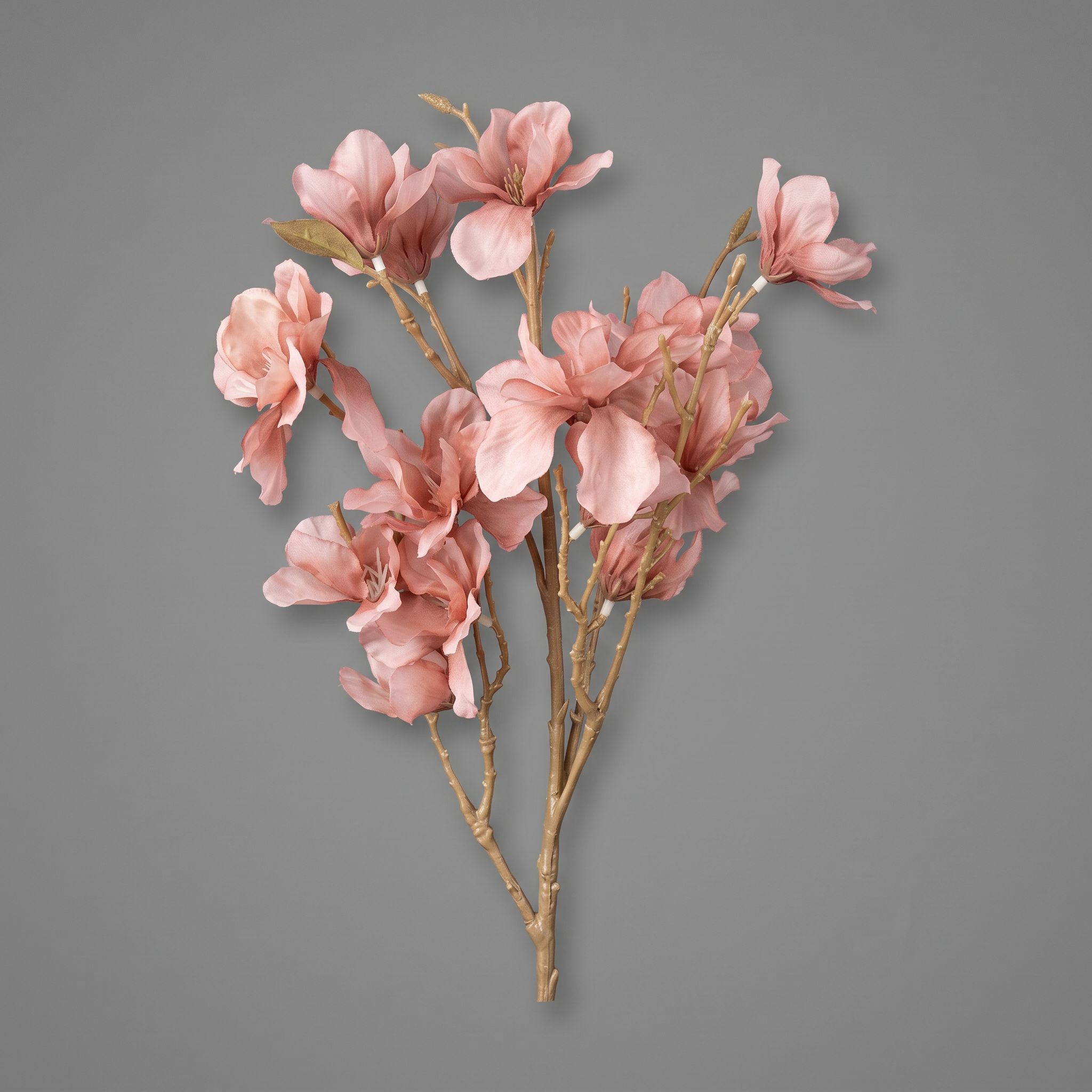 tamaraleman_0251
