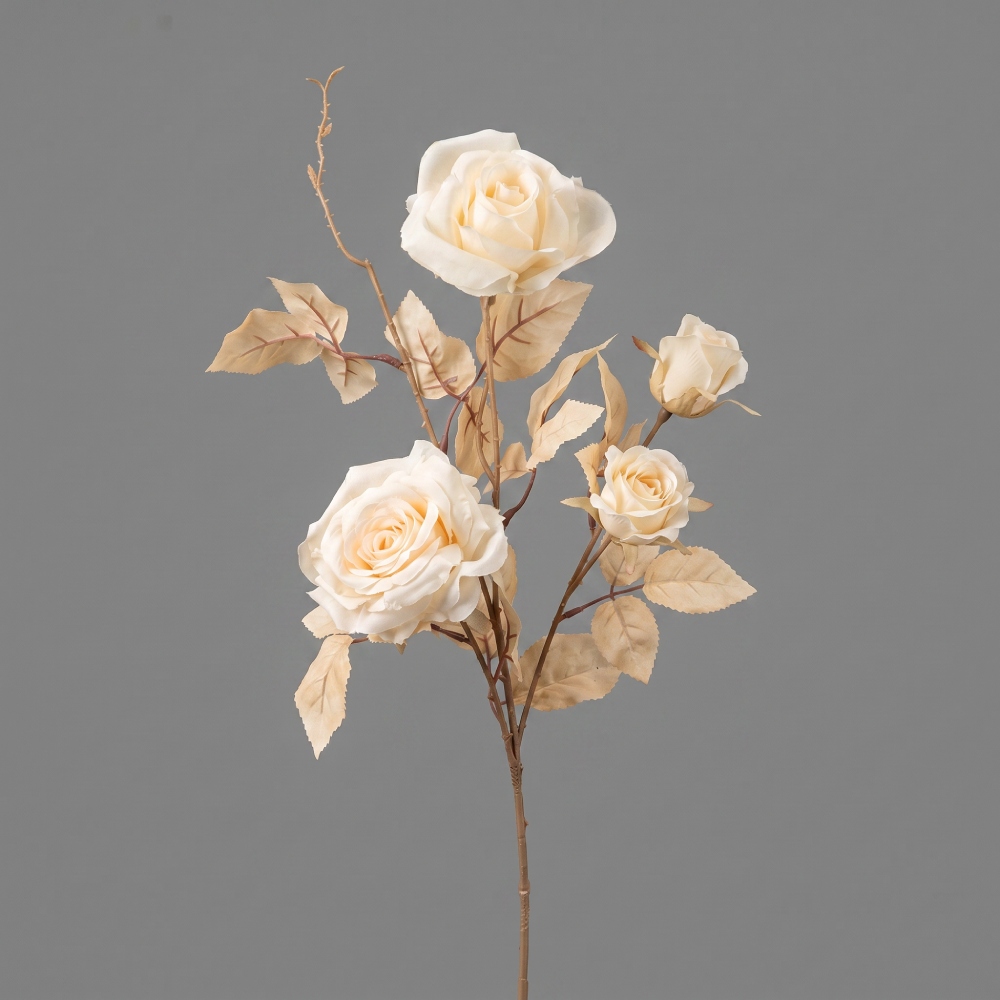 tamaraleman_0253