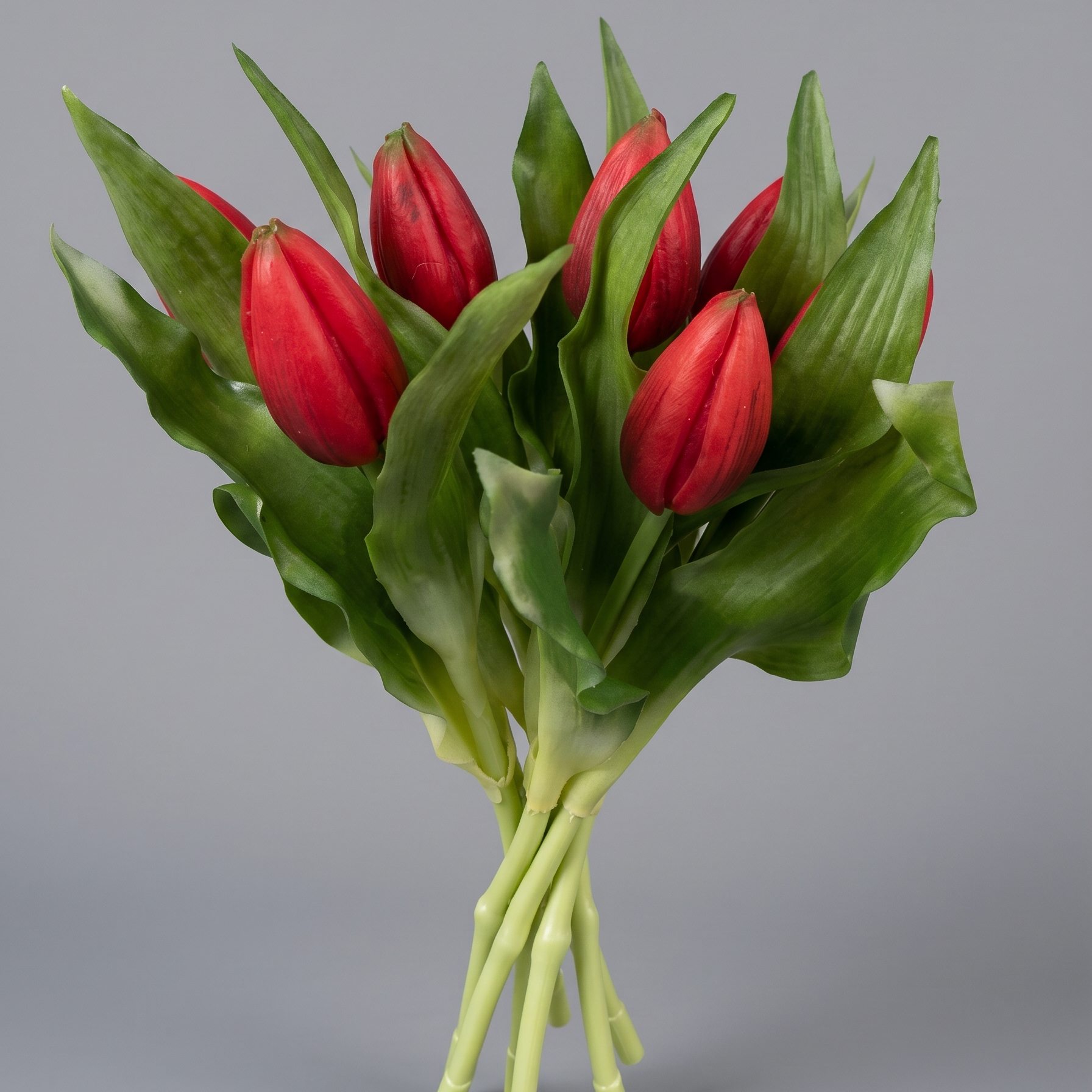 tamaraleman_0260