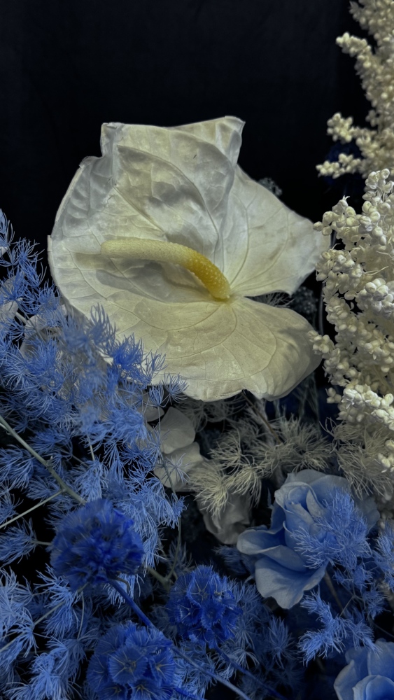 tamaraleman_149_91