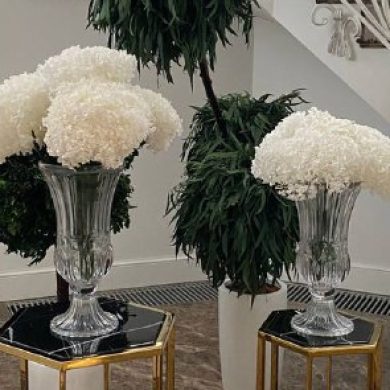 5408941131384878726 (2)